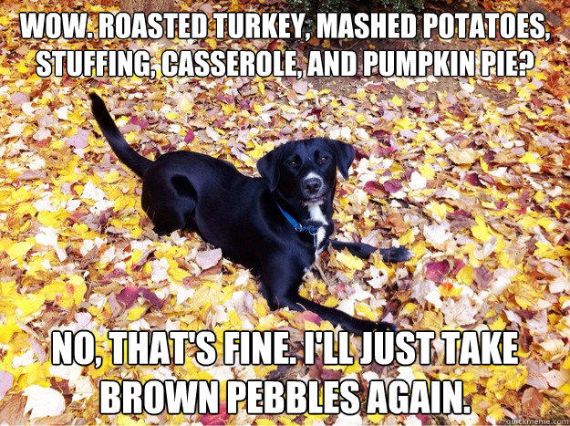 Wow. Roasted Turkey, mashed potatoes, stuffing, casserole, and pumpkin pie? No, that's fine. I'll just take brown pebbles again.  