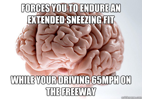 FORCES YOU TO ENDURE AN EXTENDED SNEEZING FIT WHILE YOUR DRIVING 65MPH ON THE FREEWAY  Scumbag Brain
