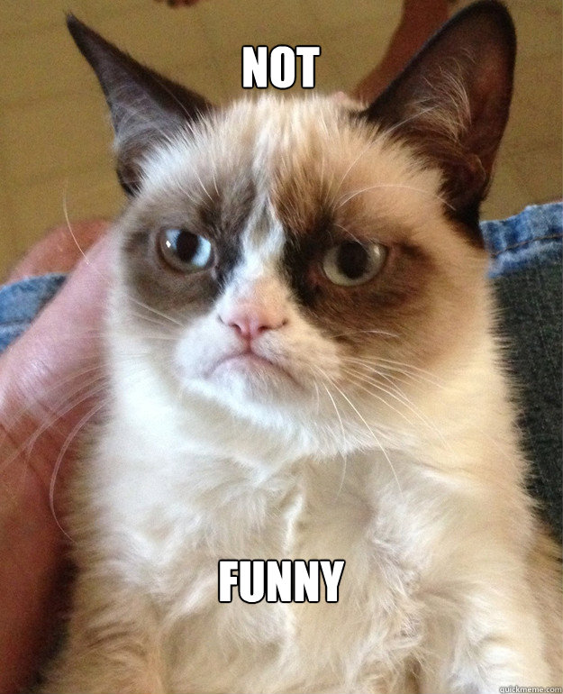 not funny  Grumpy Cat