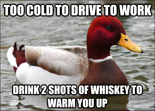 Too cold to drive to work drink 2 shots of whiskey to warm you up  Malicious Advice Mallard