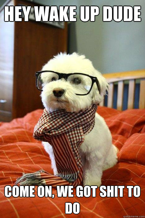 HEY WAKE UP DUDE COME ON, WE GOT SHIT TO DO  Hipster Dog