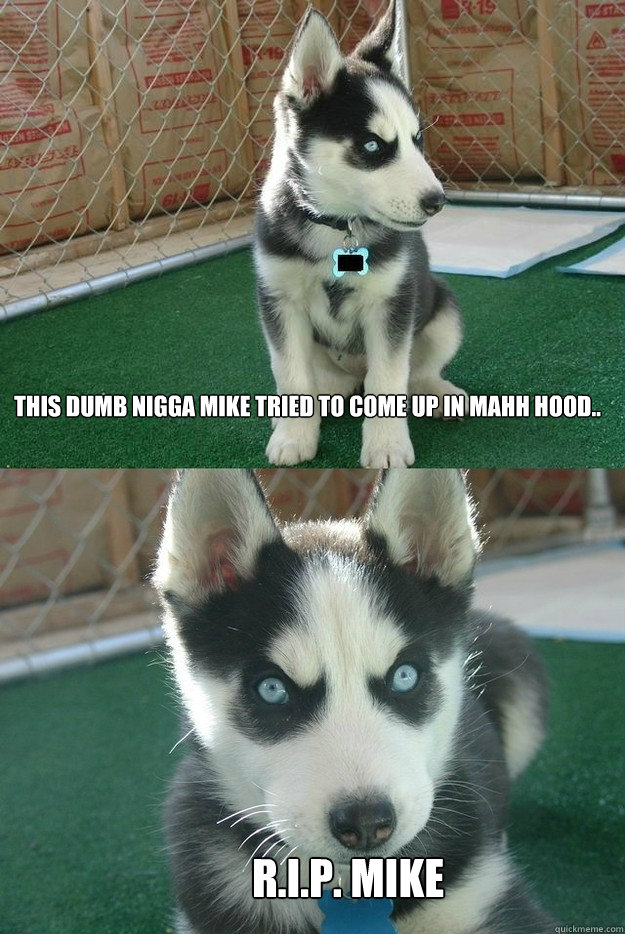this dumb nigga mike tried to come up in mahh hood.. R.I.P. MIKE  Insanity puppy