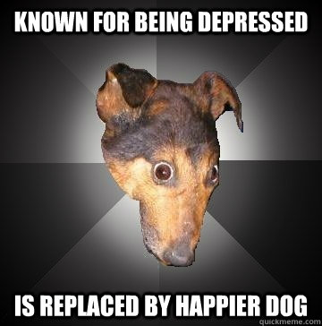 KNOWN FOR BEING DEPRESSED IS REPLACED BY HAPPIER DOG - KNOWN FOR BEING DEPRESSED IS REPLACED BY HAPPIER DOG  Depression Dog