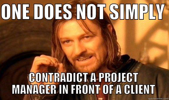 CONSULTANTS CREDO - ONE DOES NOT SIMPLY  CONTRADICT A PROJECT MANAGER IN FRONT OF A CLIENT One Does Not Simply