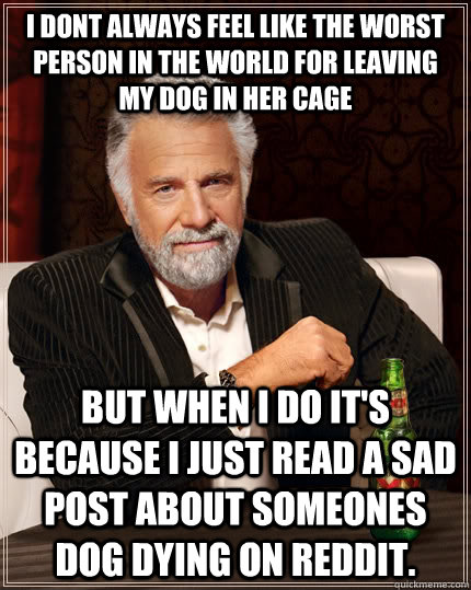 I dont always feel like the worst person in the world for leaving my dog in her cage but when I do it's because I just read a sad post about someones dog dying on reddit.  The Most Interesting Man In The World