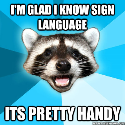 I'm glad I know sign language its pretty handy   Lame Pun Raccoon