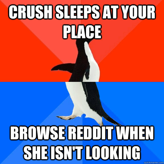 crush sleeps at your place browse reddit when she isn't looking  Awesome Awkward Penguin