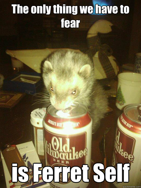 The only thing we have to fear is Ferret Self  