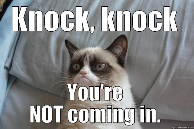 KNOCK, KNOCK YOU'RE NOT COMING IN. Grumpy Cat