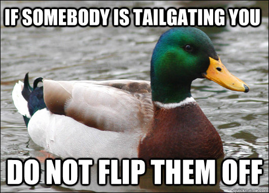If somebody is tailgating you do not flip them off  Actual Advice Mallard
