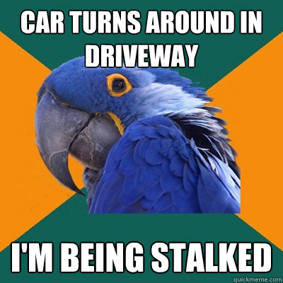 Car turns around in driveway I'm being stalked  Paranoid Parrot