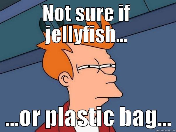 NOT SURE IF JELLYFISH...   ...OR PLASTIC BAG... Futurama Fry