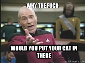 why the fuck would you put your cat in there  - why the fuck would you put your cat in there   Annoyed Picard