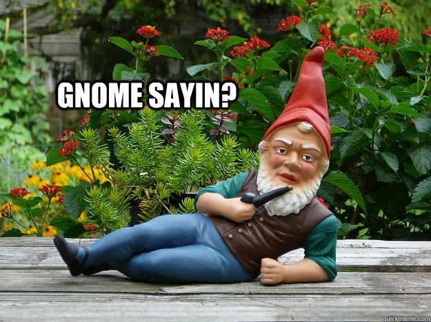 GNOME SAYIN?  Sexy Gnome