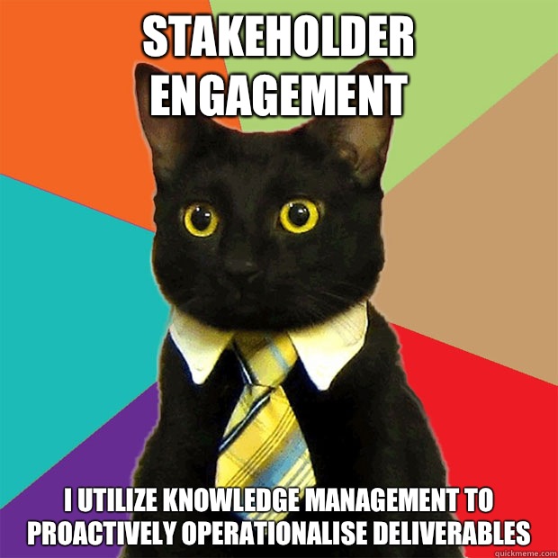 Stakeholder engagement I utilize knowledge management to proactively operationalise deliverables - Stakeholder engagement I utilize knowledge management to proactively operationalise deliverables  Business Cat