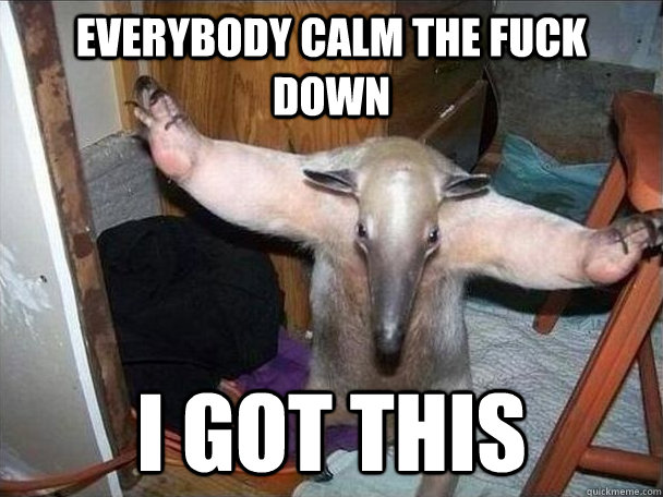 EVERYBODY CALM THE FUCK DOWN i got this  I got this