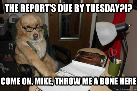 The Report's due by Tuesday?!? Come on, Mike, throw me a bone here - The Report's due by Tuesday?!? Come on, Mike, throw me a bone here  Misc
