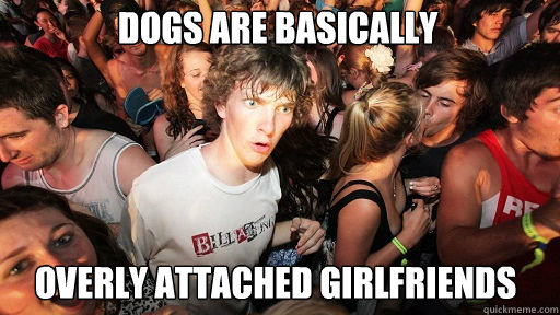 dogs are basically overly attached girlfriends  Sudden Clarity Clarence