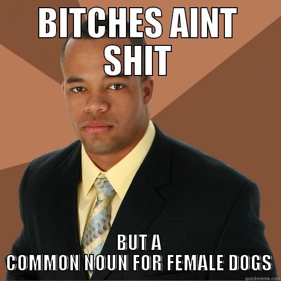 BITCHES AINT SHIT BUT A COMMON NOUN FOR FEMALE DOGS Successful Black Man Meth