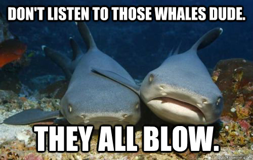 DON'T LISTEN TO THOSE WHALES DUDE. THEY ALL BLOW.  Compassionate Shark Friend