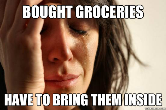 bought groceries have to bring them inside - bought groceries have to bring them inside  First World Problems