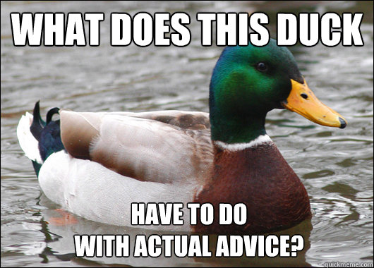 WHAT DOES THIS DUCK HAVE TO DO
WITH ACTUAL ADVICE?  Actual Advice Mallard