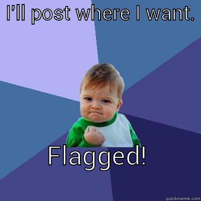  I'LL POST WHERE I WANT.            FLAGGED!                Success Kid