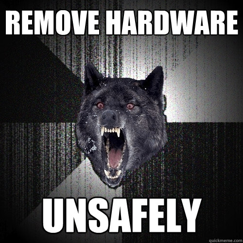 REMOVE HARDWARE UNSAFELY  Insanity Wolf