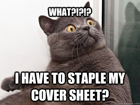WHAT?!?!? I have to staple my cover sheet?  conspiracy cat