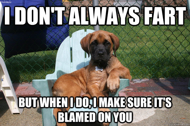 I don't always fart But when i do, i make sure it's blamed on you  The Most Interesting Dog in the World