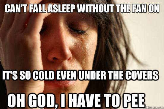 Can't fall asleep without the fan on It's so cold even under the covers Oh God, I have to pee  First World Problems