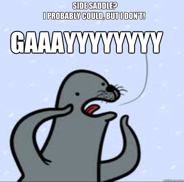  side saddle?
I probably could, but I don't! GAAAYYYYYYYY -  side saddle?
I probably could, but I don't! GAAAYYYYYYYY  Gay seal
