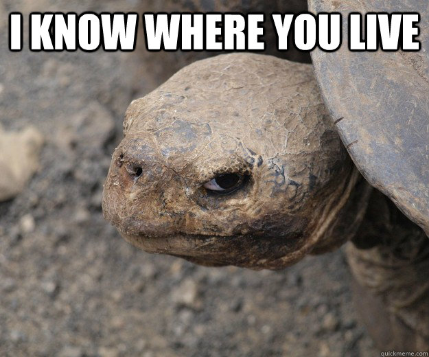 I know where you live  Angry Turtle