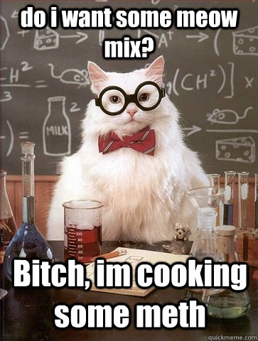 do i want some meow mix? Bitch, im cooking some meth  Chemistry Cat