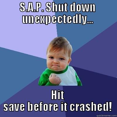 S.A.P. SHUT DOWN UNEXPECTEDLY... HIT SAVE BEFORE IT CRASHED! Success Kid