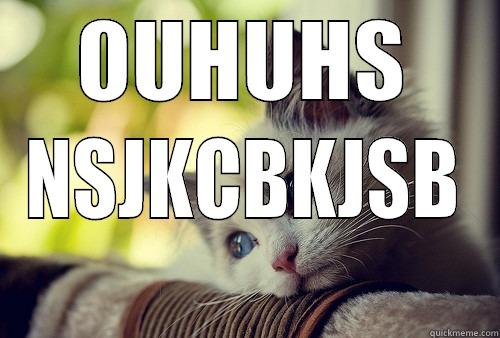 OUHUHS NSJKCBKJSB First World Problems Cat