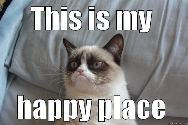 attitude adjustment - THIS IS MY HAPPY PLACE Grumpy Cat