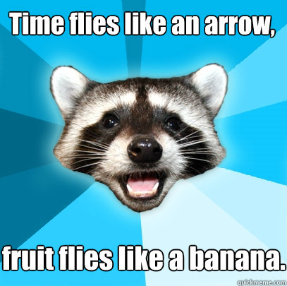 Time flies like an arrow, fruit flies like a banana.  Lame Pun Coon