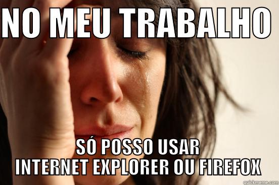 NO MEU TRABALHO  SÓ POSSO USAR INTERNET EXPLORER OU FIREFOX First World Problems