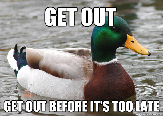 Get out get out before it's too late  Actual Advice Mallard