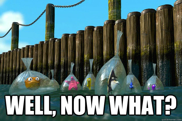  Well, now what? -  Well, now what?  Misc