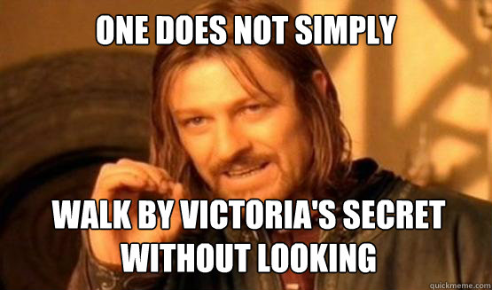 One does not simply Walk by Victoria's Secret without looking  ONE DOES NOT SIMPLY DRIVE A CAR INTO BOSTON