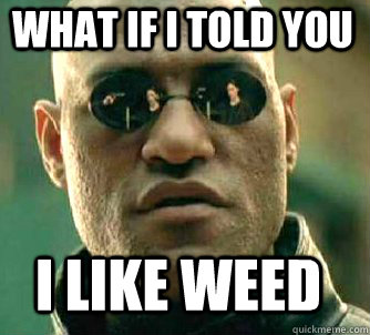 what if i told you I like weed  Matrix Morpheus