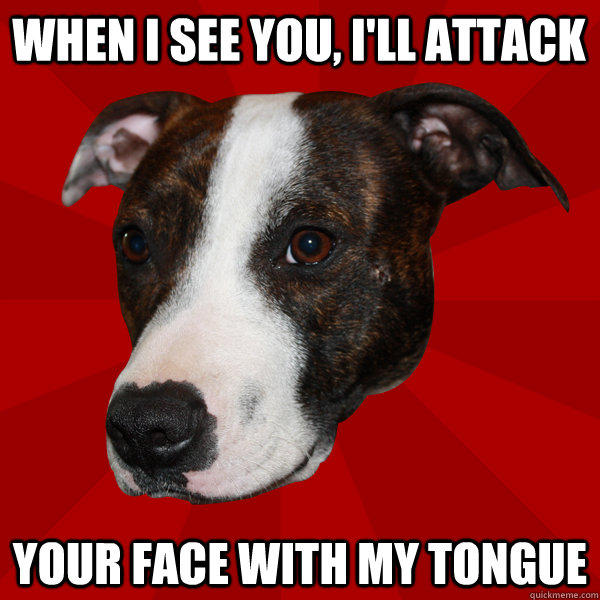 WHEN I SEE YOU, I'LL ATTACK YOUR FACE WITH MY TONGUE - WHEN I SEE YOU, I'LL ATTACK YOUR FACE WITH MY TONGUE  Vicious Pitbull Meme