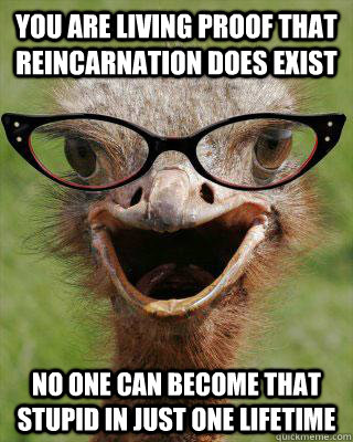 YOU ARE LIVING PROOF THAT REINCARNATION DOES EXIST NO ONE CAN BECOME THAT STUPID IN JUST ONE LIFETIME  Judgmental Bookseller Ostrich