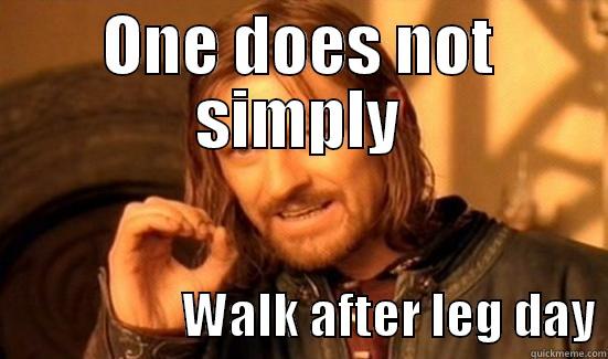 ONE DOES NOT SIMPLY                    WALK AFTER LEG DAY Boromir
