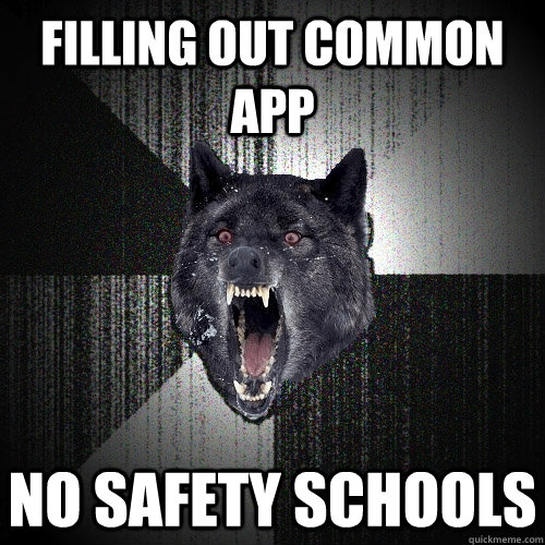 Filling out common app no safety schools  Insanity Wolf