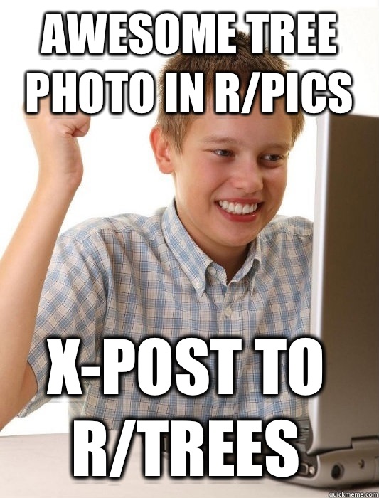 Awesome tree photo in r/pics X-post to r/trees  First Day on the Internet Kid