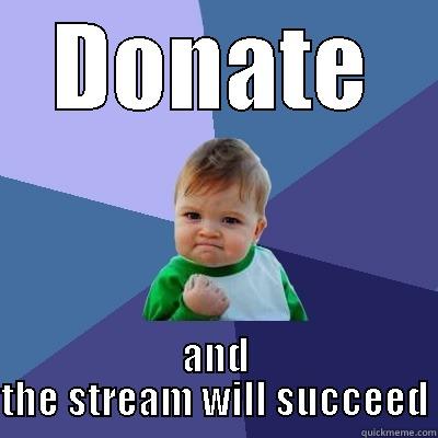 DONATE AND THE STREAM WILL SUCCEED Success Kid