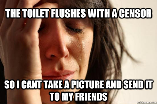 the toilet flushes with a censor so i cant take a picture and send it to my friends  First World Problems
